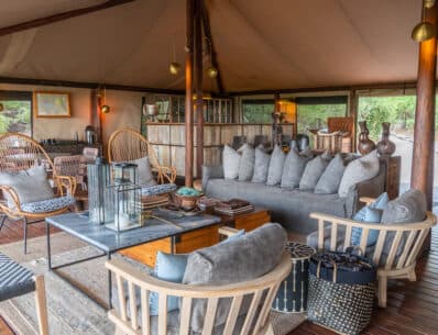 Chobe Day Safari from Victoria Falls